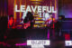 Leaveful en Aparato Contenedor