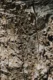 textura de madera